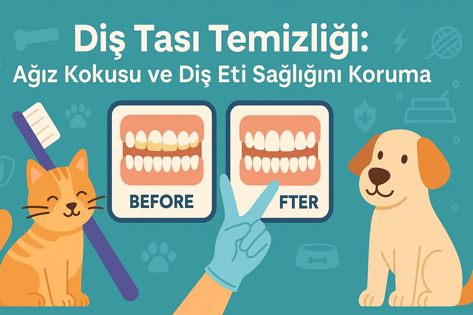 Diş Taşı Temizliği: Ağız Kokusu ve Diş Eti Sağlığını Koruma